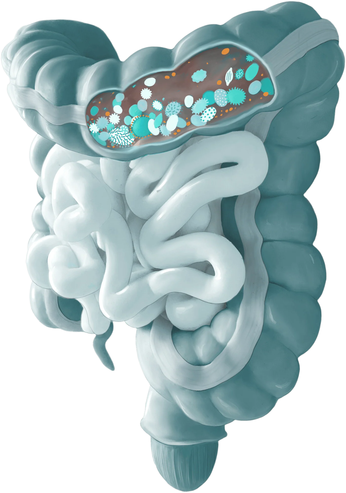 Shutterstock 1531630667 Freigestellt