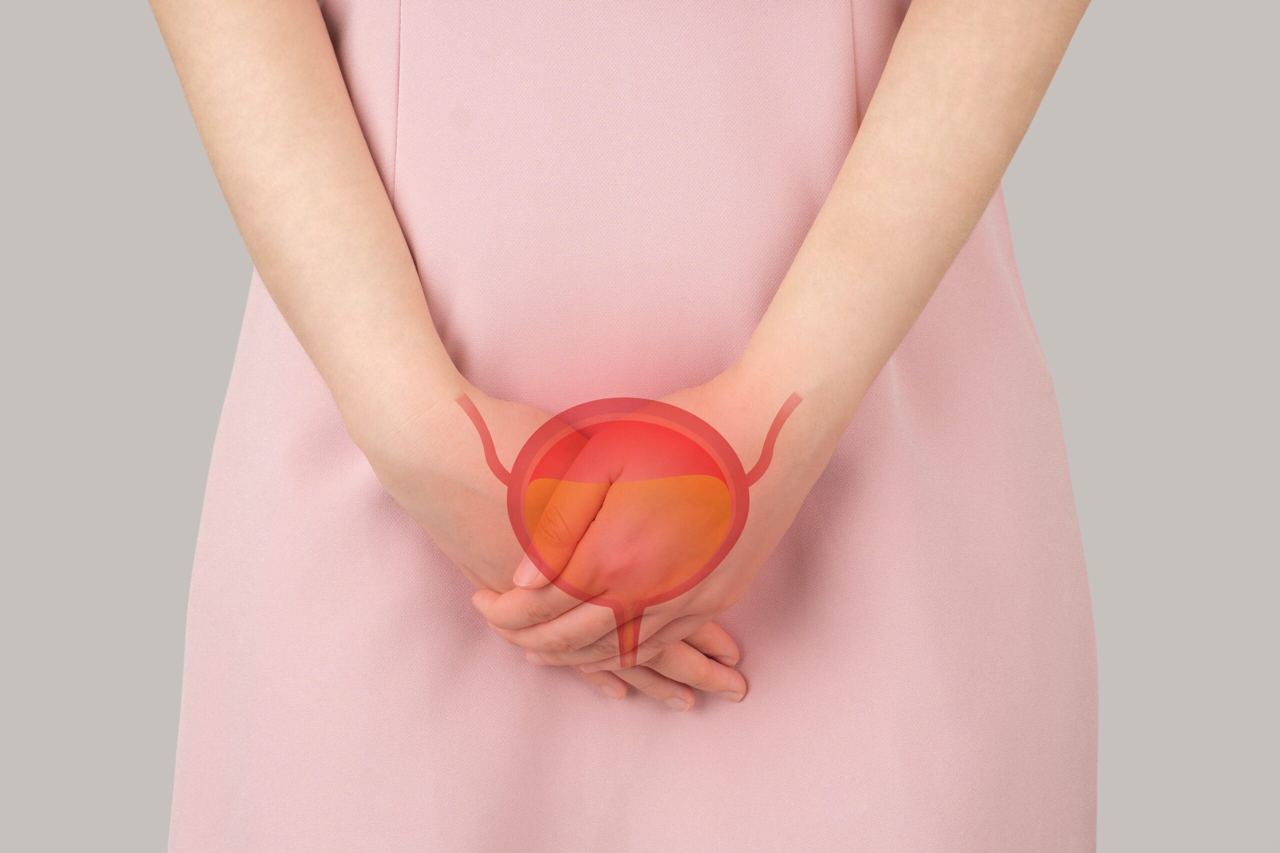 Bladder,with,urine,illustration,on,female,body,against,gray,background.